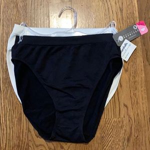 NWT nylon panties
